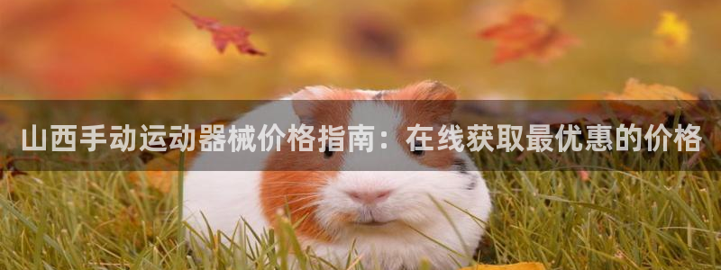 尊龙会ktv价格:山西手动运动器械价格指南:在线获取最优惠的