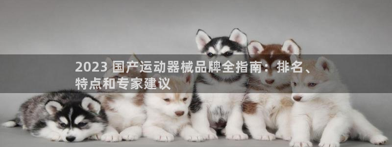 尊龙凯时能做退米么:2023 国产运动器械品牌全指南:排名、