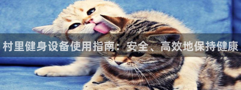 尊龙1003尊龙 - 百度:村里健身设备使用指南:安全、高效